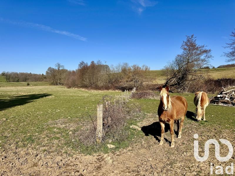 Maison - 169 m² - 8 pièces