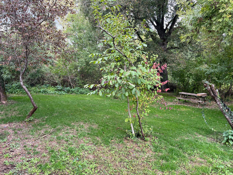 Maison - 175 m² - 7 pièces