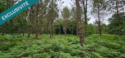 Terrain agricole - 5 640 m²