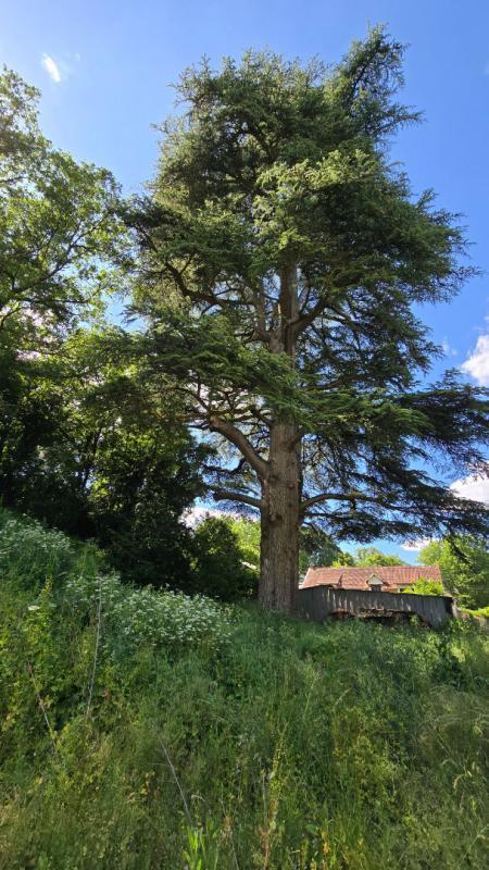 Terrain constructible - 2 372 m²