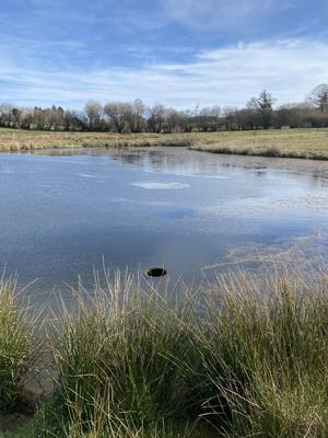 Terrain de loisirs - 29 210 m²