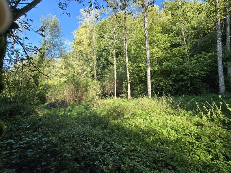 Maison - 24 m² - 1 pièce