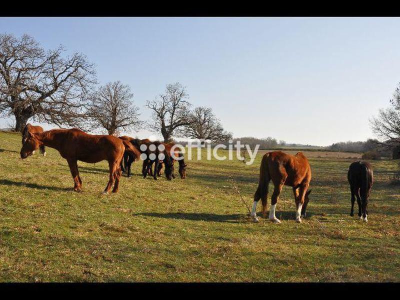 Maison - 400 m² - 13 pièces