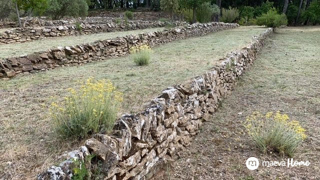 Terrain de loisirs - 6 500 m²