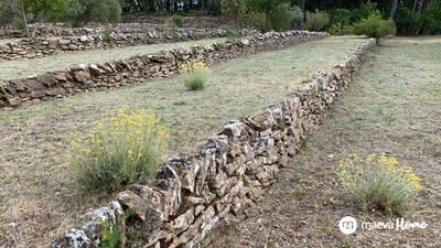 Terrain de loisirs - 6 500 m²