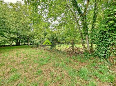 Terrain constructible - 1 260 m²