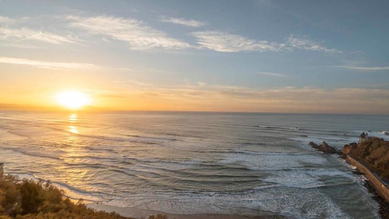 Studio - 30 m² - 1 pièce