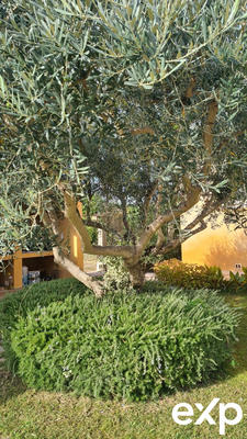 Villa - 154 m² - 4 pièces