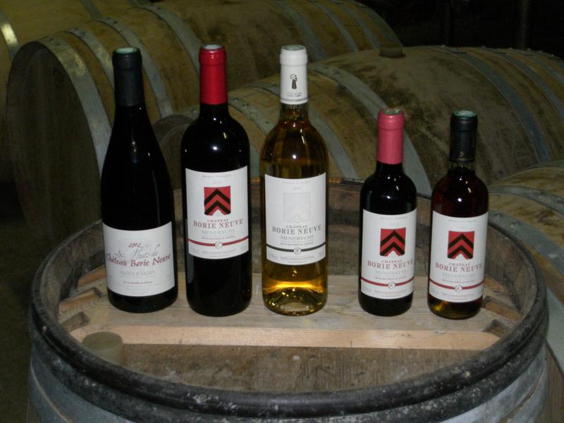 Château Borie Neuve