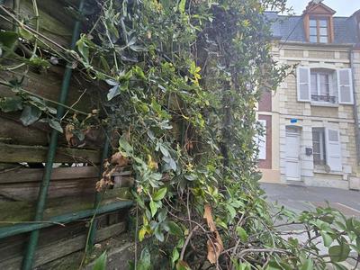 Maison - 53 m² - 3 pièces