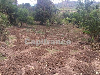 Terrain constructible - 6 969 m²