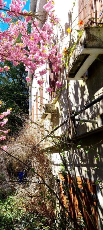 Maison - 210 m² - 8 pièces