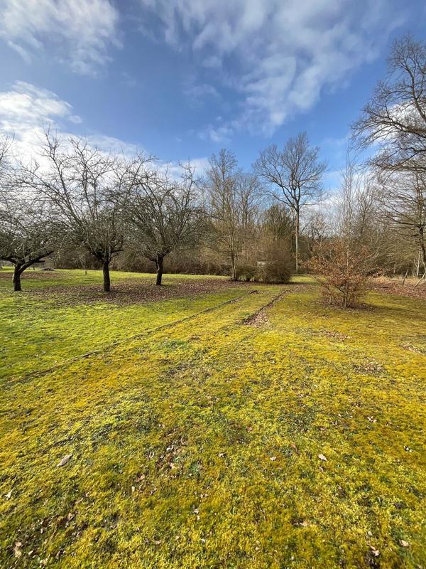 Local commercial - 150 m² - 2 pièces