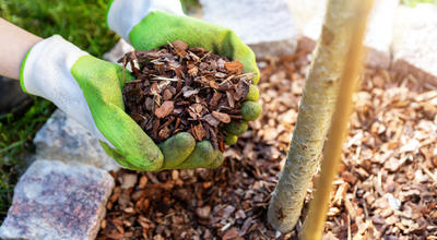 Atelier &quot;Anticiper l'hiver au jardin&quot;
