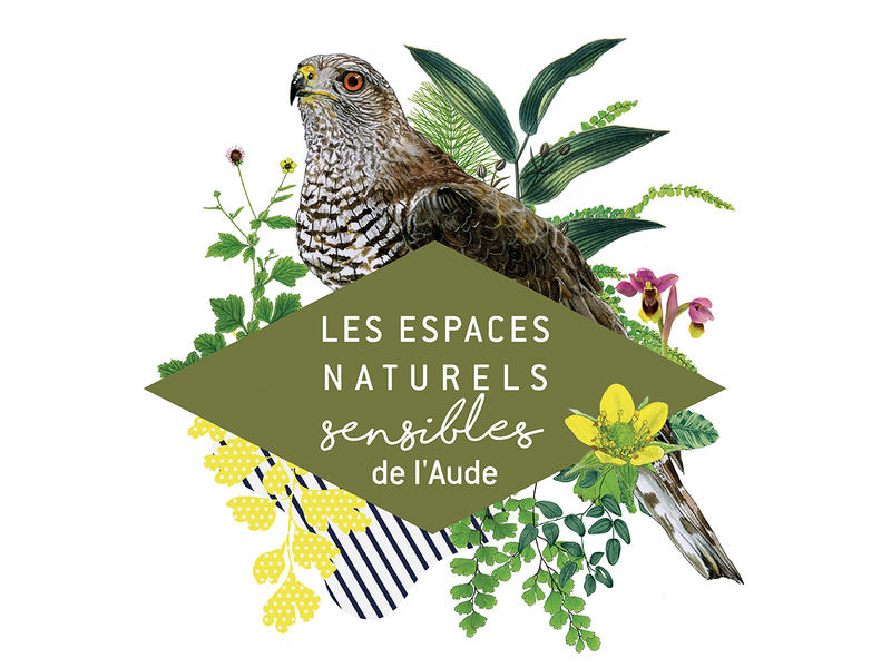 Ens - au Milieu des Fleurs, Découvrons les Oiseaux