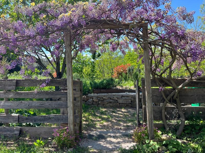 Maison - 181 m² - 7 pièces