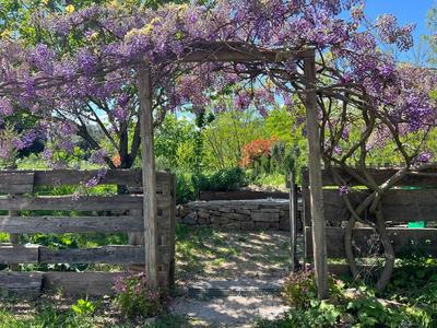 Maison - 181 m² - 7 pièces