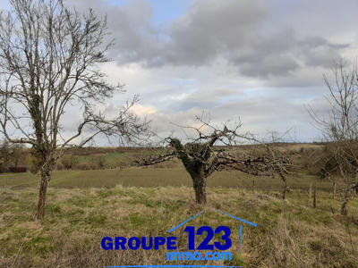 Terrain - 8 254 m²