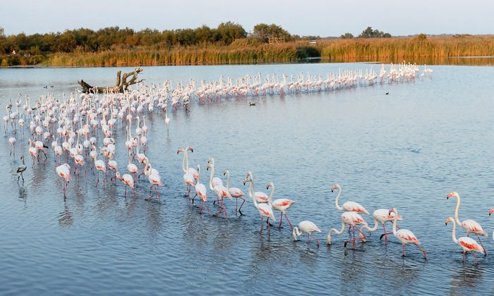 Appartement - 17 m² - 1 pièce