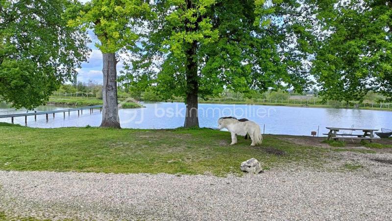 Terrain de loisirs - 31 000 m²