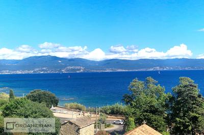 Appartement - 53 m² - 2 pièces