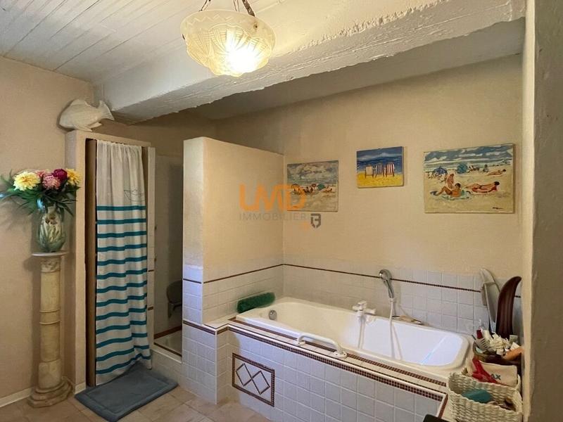 Mas - 330 m² - 8 pièces