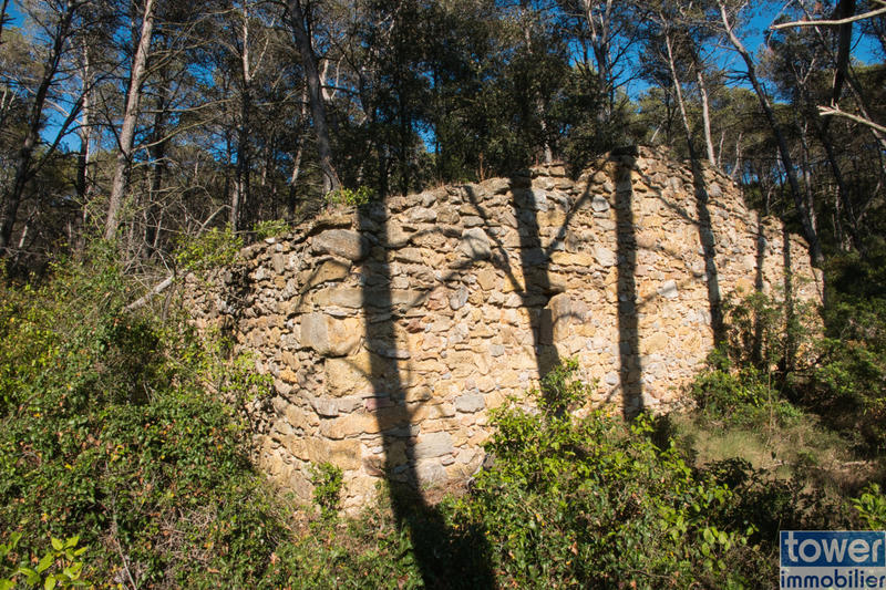 Terrain de loisirs - 42 302 m²