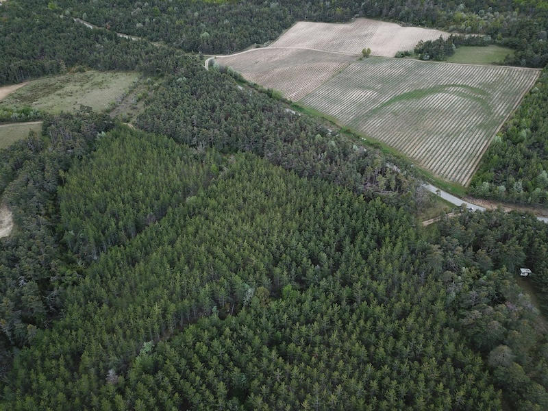 Terrain - 355 899 m²