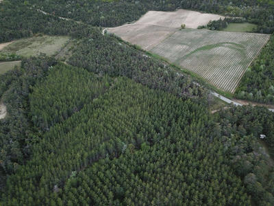 Terrain - 355 899 m²