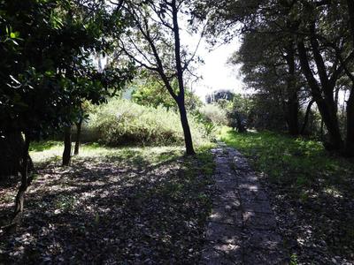 Terrain constructible - 2 200 m²