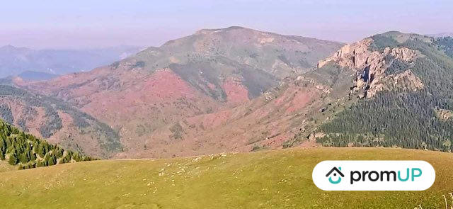 Châlet - 303 m² - 11 pièces