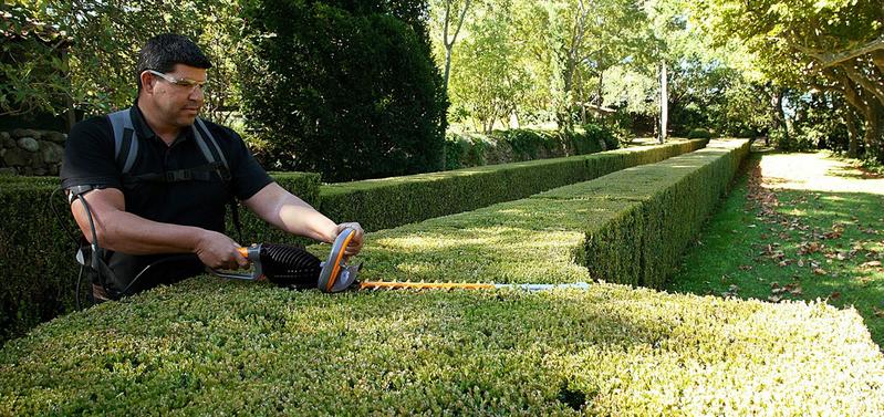 Delorme Elagage (Roger)