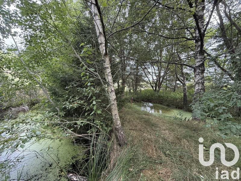 Maison - 214 m² - 7 pièces