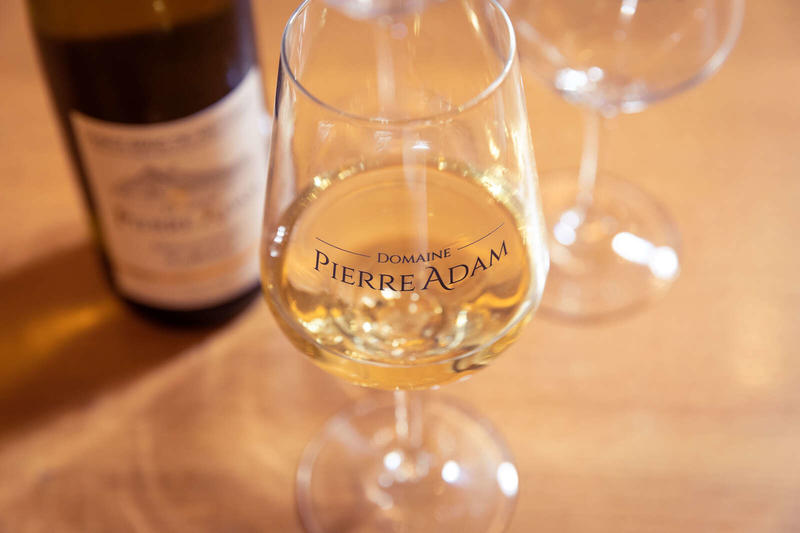 Parenthèse Vigneronne : Initiation à la dégustation