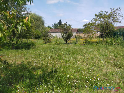 Terrain - 1 131 m²