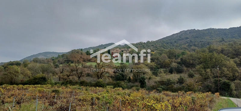 Maison ancienne - 168 m² - 5 pièces