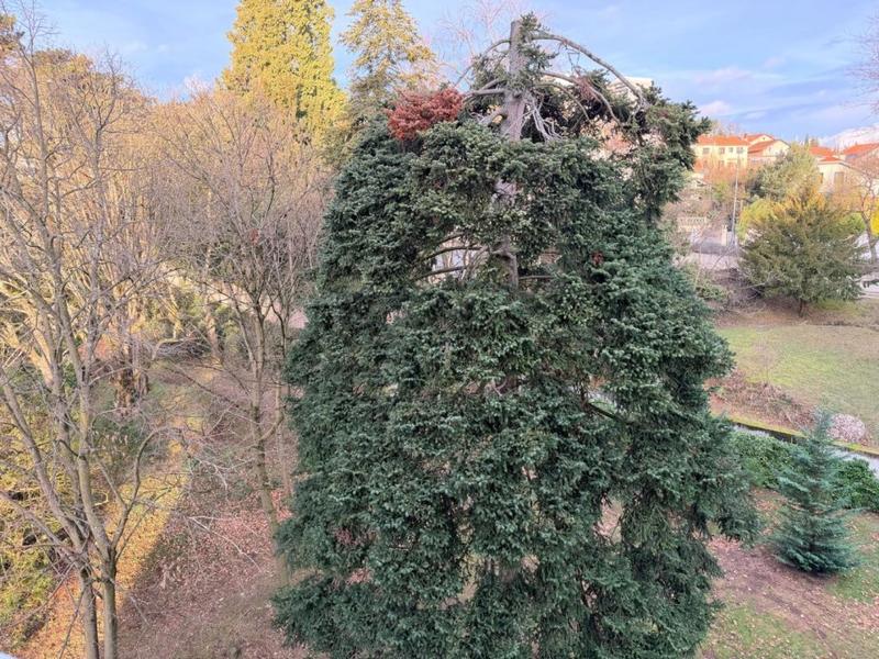 Appartement - 82 m² - 3 pièces