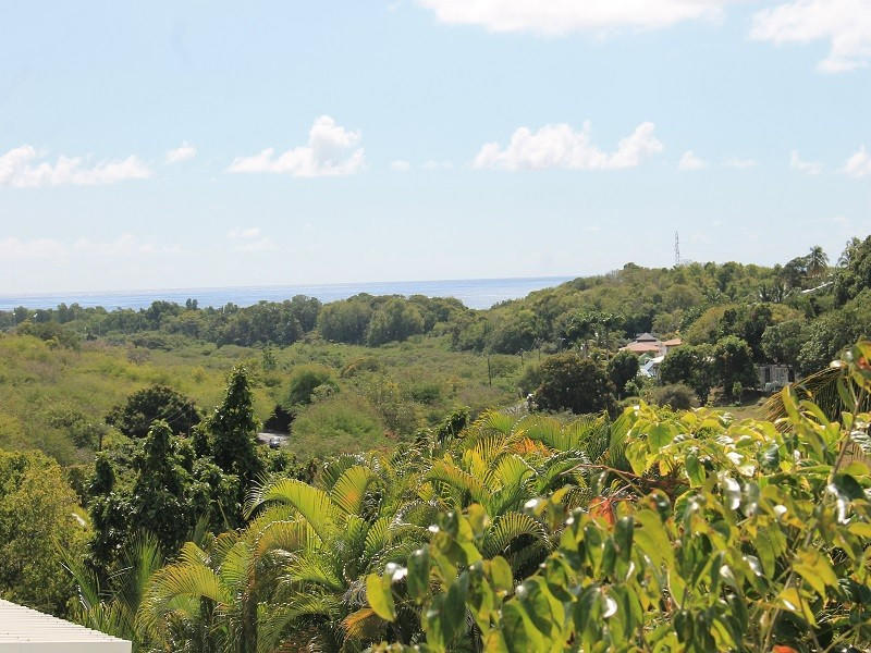 Maison - 256 m² - 7 pièces