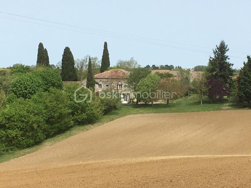 Maison en pierre - 216 m² - 7 pièces