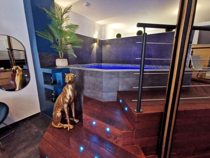 Appartement - 54 m² - 1 pièce