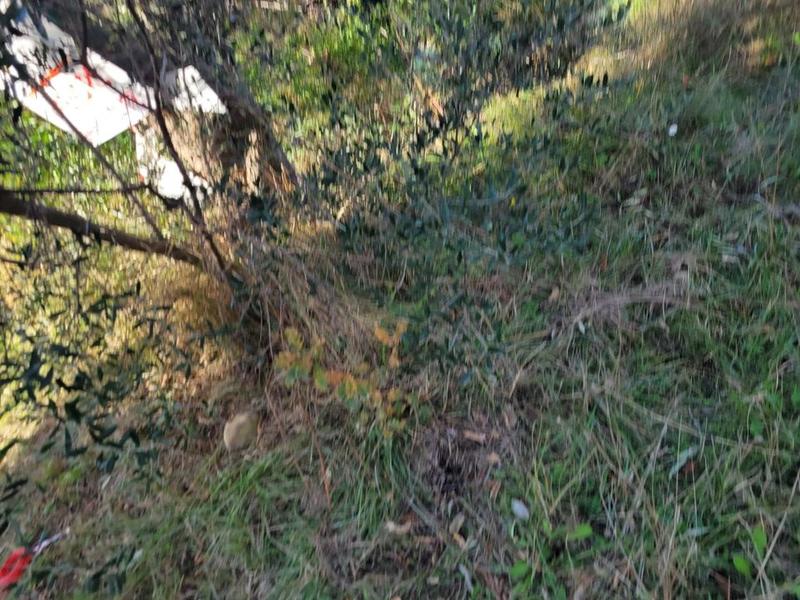 Terrain constructible - 700 m²