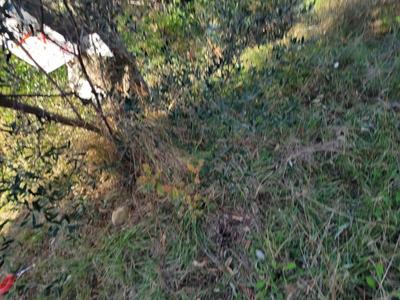 Terrain constructible - 700 m²