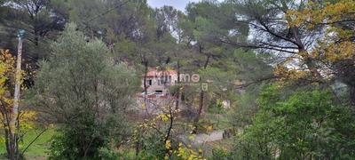 Maison - 220 m² - 7 pièces