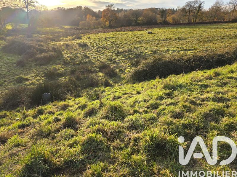 Terrain - 41 275 m²