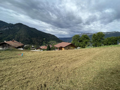 Terrain - 823 m²