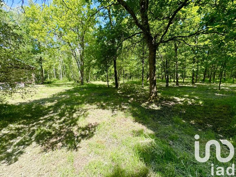 Terrain - 10 000 m²