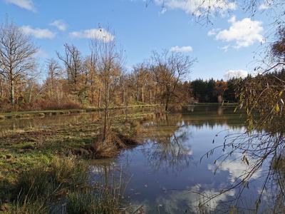 Terrain de loisirs - 11 400 m²