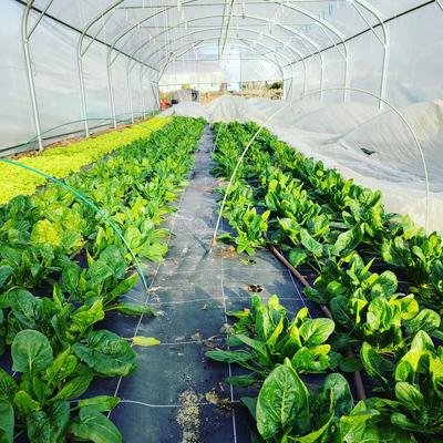 Le Goût des Saisons