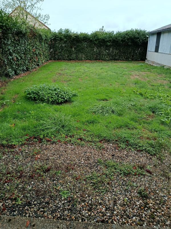 Maison ancienne - 258 m² - 6 pièces