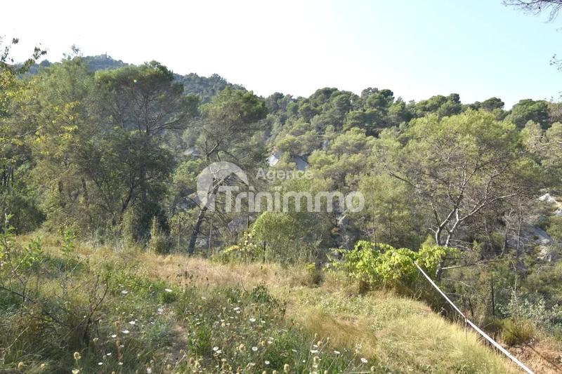 Terrain constructible - 1 490 m²